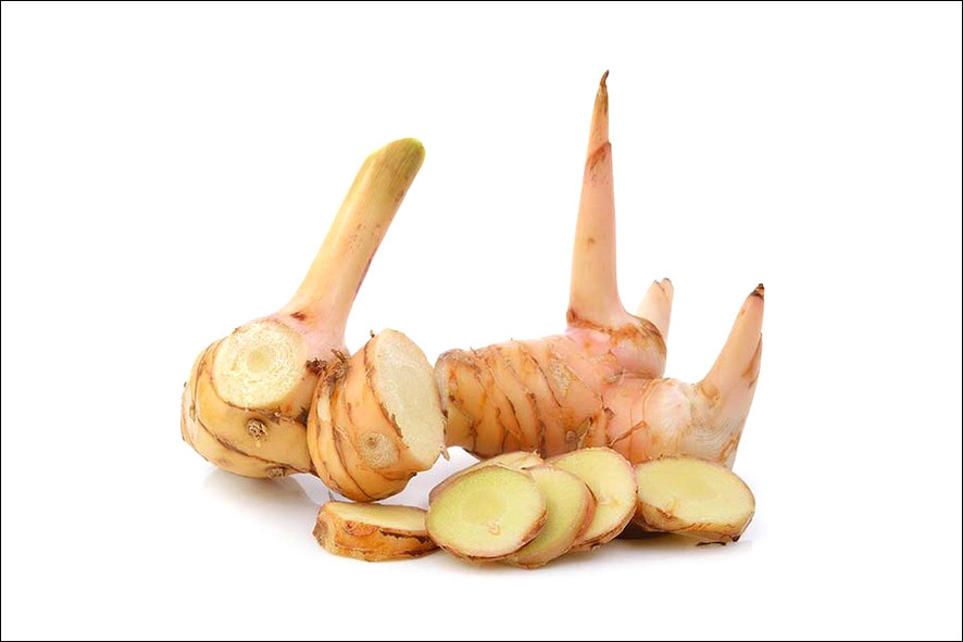 GALANGA (GALGANT) WURZEL