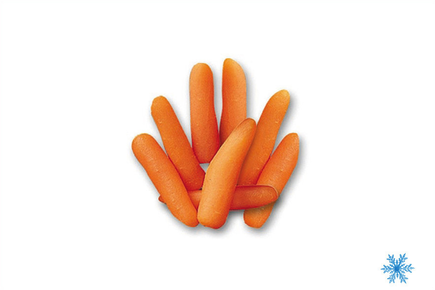 CAROTINE BABY MINUTE SG