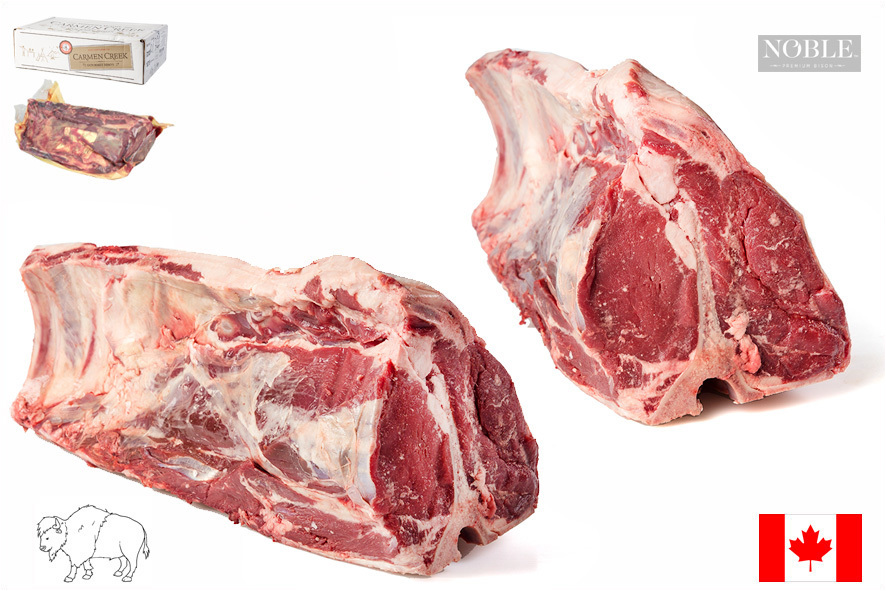 BISONTE T-BONE 2COSTE C TESTA FIL.