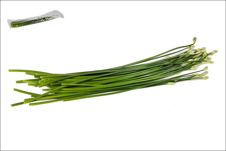 ERBA CIPOLLINA CON FIORE(T)