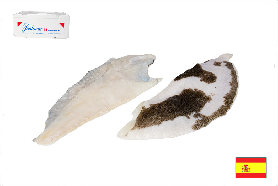 ROMBO FILETTO A C/P 200-250 GR(E)