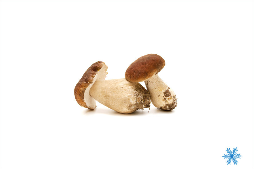 FUNGHI PORCINI INTERI MEDI SG