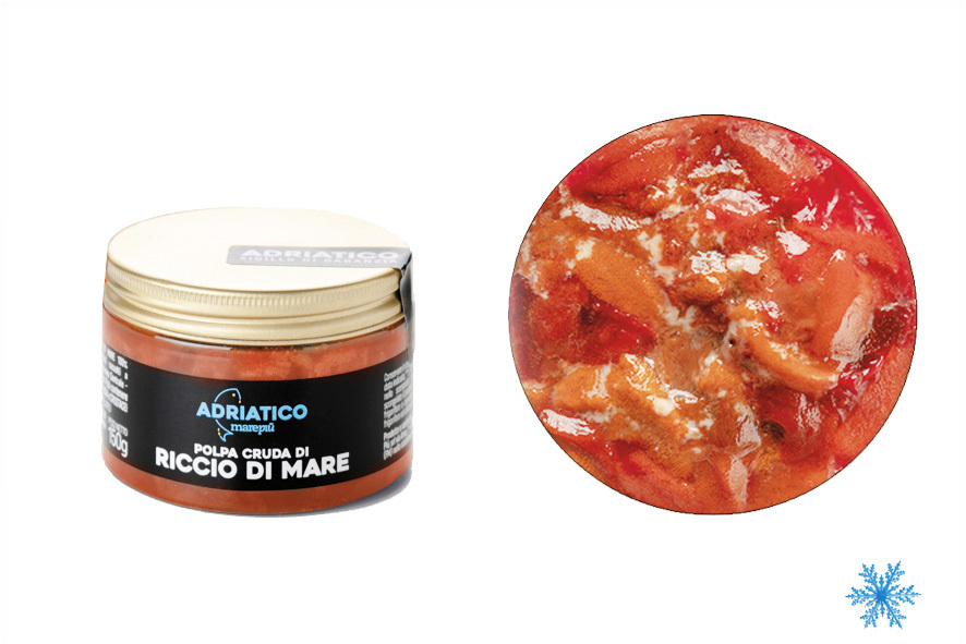 POLPA DI RICCIO DI MARE  SG