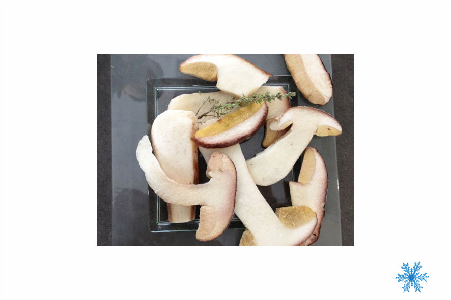 FUNGHI PORCINI A FETTE SG