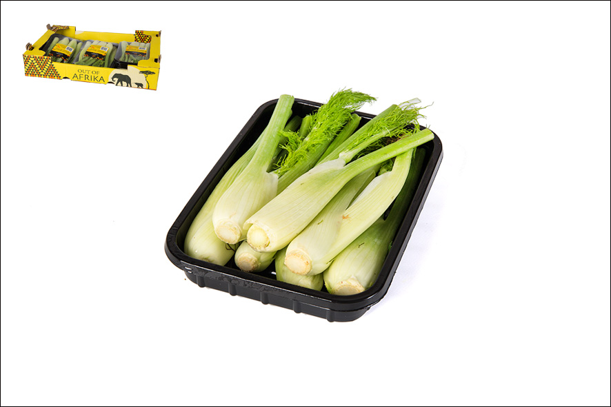 MINI FENCHEL(SAF)