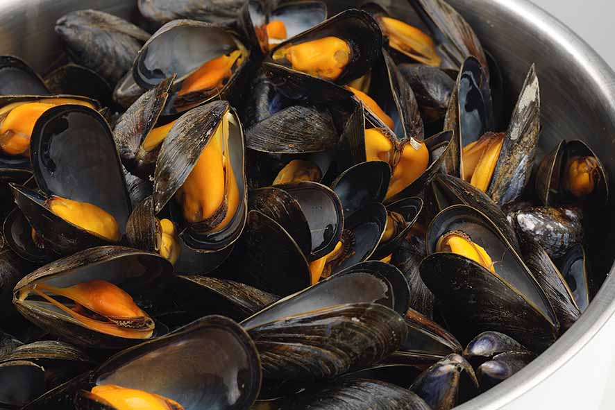 COZZE BOUCHOT MONT SAINT MICHEL AOP