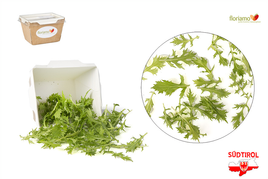 FOGLIA DI MIZUNA VERDE AA