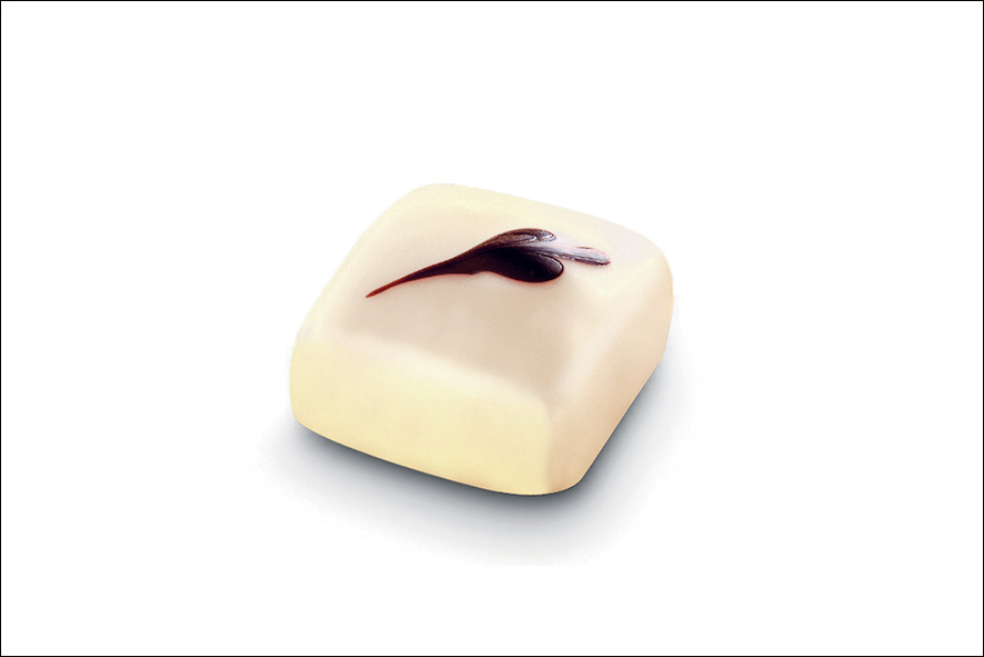 PRALINE INTENSE IVOIRE