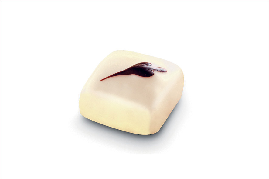 PRALINE INTENSE IVOIRE