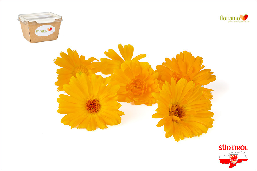 FIORI CALENDULA AA
