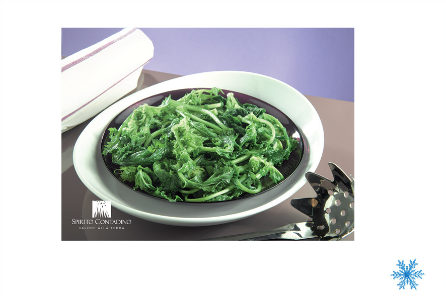 FRIARIELLI-STAENGELKOHL DUENN TK