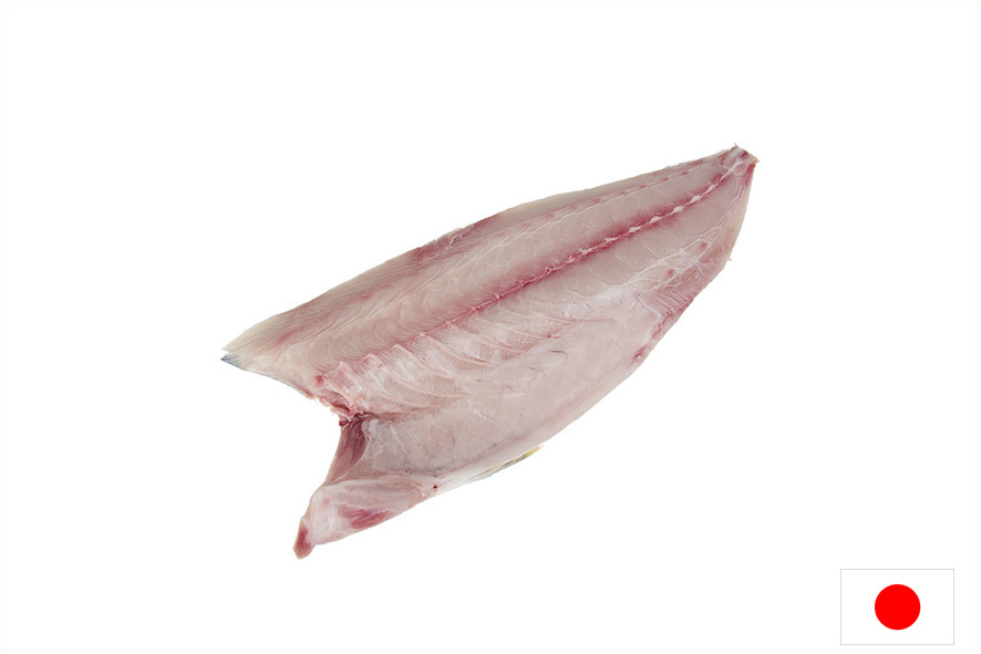 BERNSTEINFISCH FIL. HAMACHI 0,9-1 KG(J)