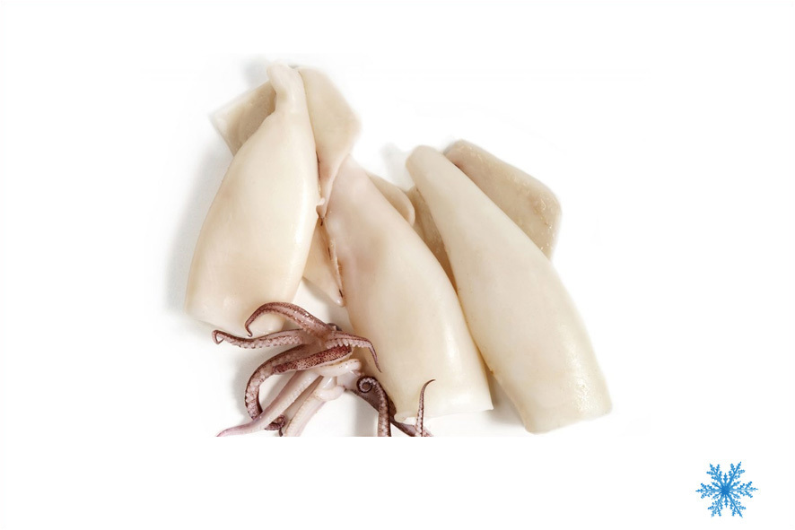 CALAMARI INDIANI PULITI U10PZ/KG SG