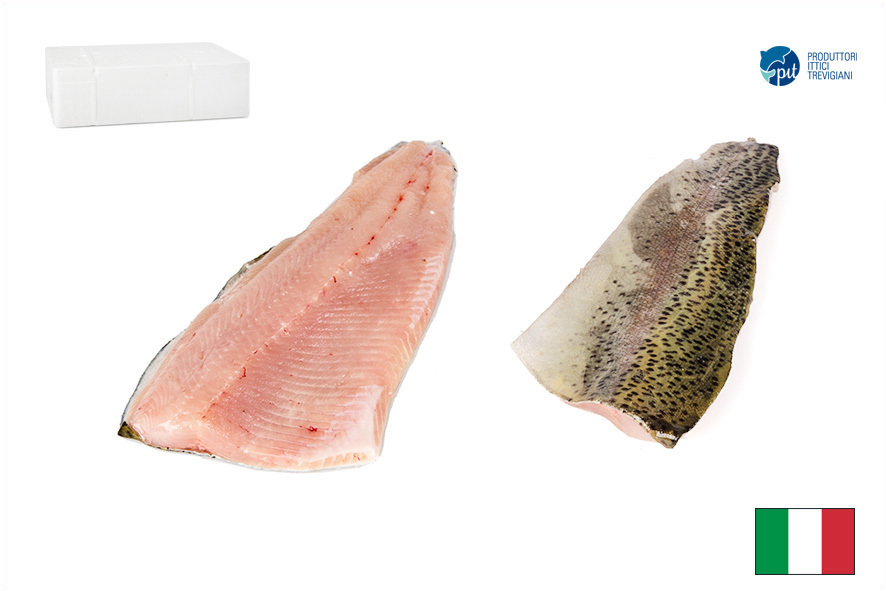 FORELLE FILET M/H 100-140 GR(I)