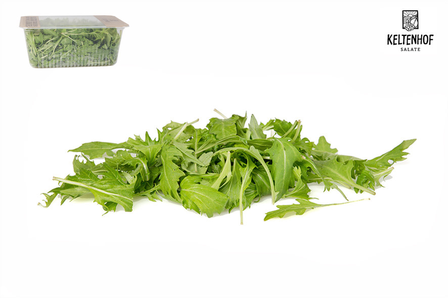 INSALATA MIZUNA VERDE