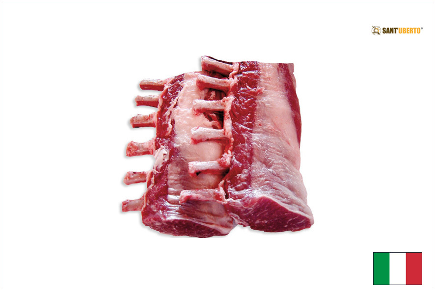 CINGHIALE CARRE' RACK   (I)