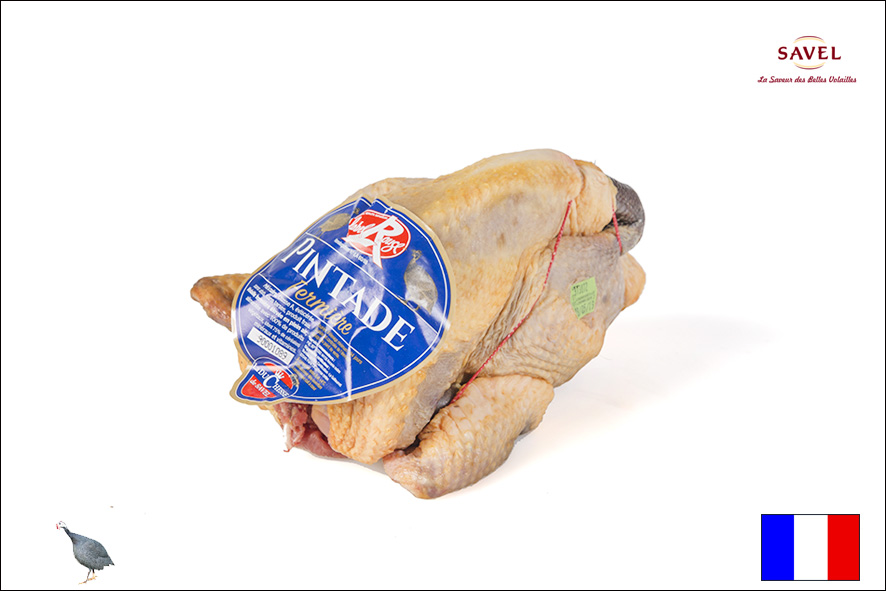 FARAONA A BUSTO LABEL ROUGE (F)