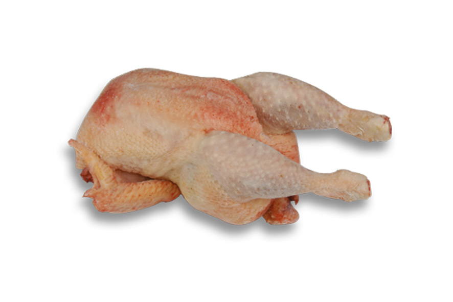 GALLINA INTERA (I)