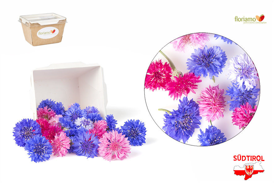 FIORDALISO AA