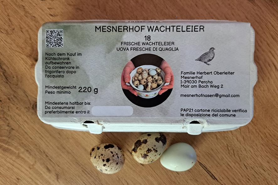 WACHTEL EIER AUS SUEDTIROL