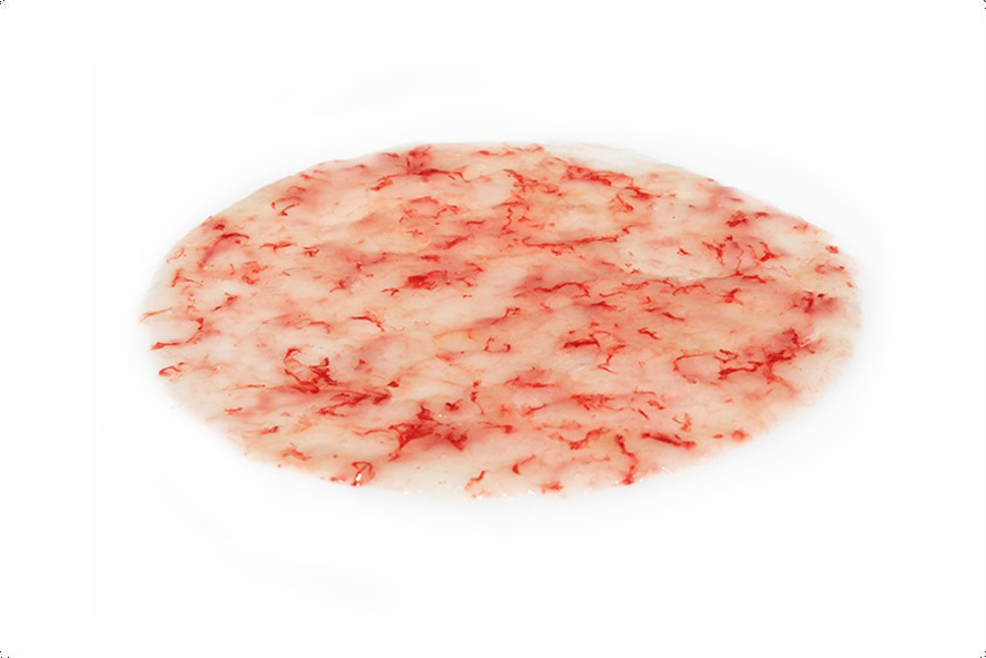 CARPACCIO SCAMPI SG