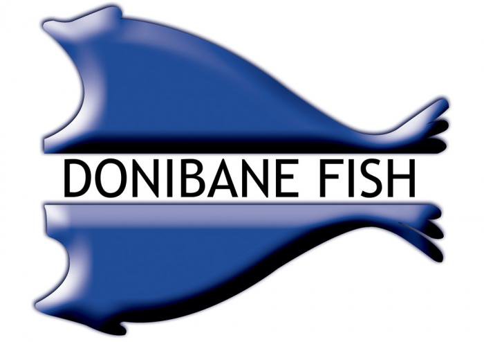 Donibane Fish 