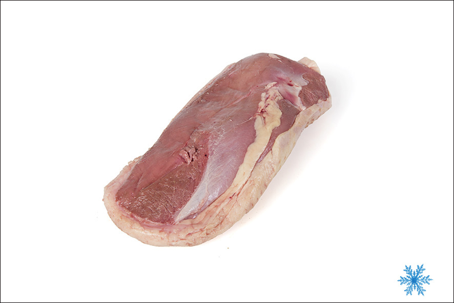 ENTE BRUST MAENNLICH GGA (F) TK