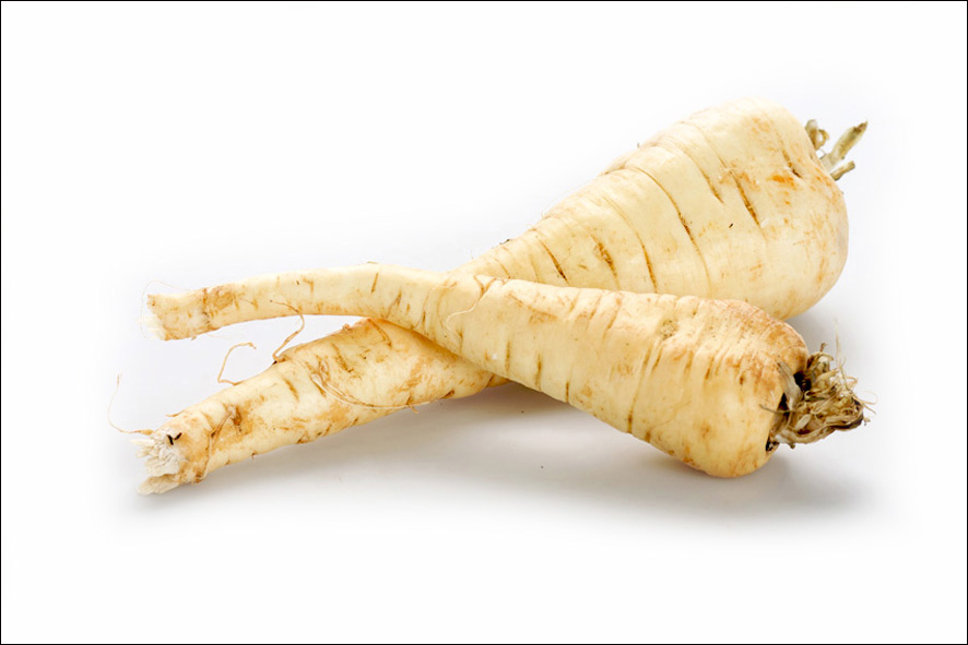 PASTINACA (PANAIS)