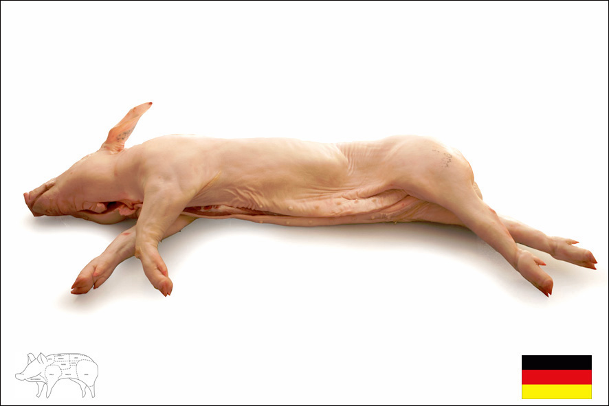 MAIALINO DISOSSATO 6-8 KG