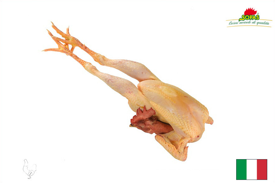 HUHN FREILAND 93 TAGE(I)