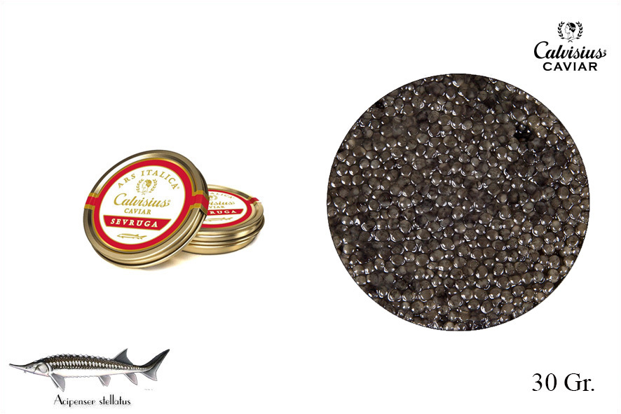 CAVIALE ARS ITALICA SEVRUGA ROYAL