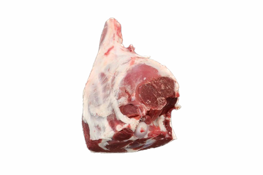 AGNELLO COSCIA C/O S/SC. IGP GALLES