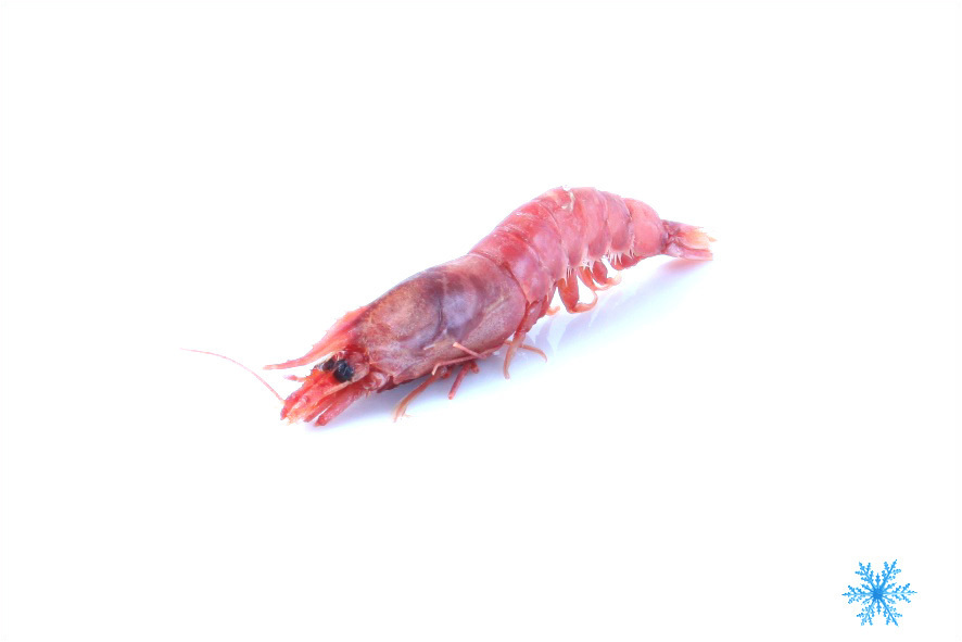 GARNELEN ROT -30 ST/KG TUNESIEN