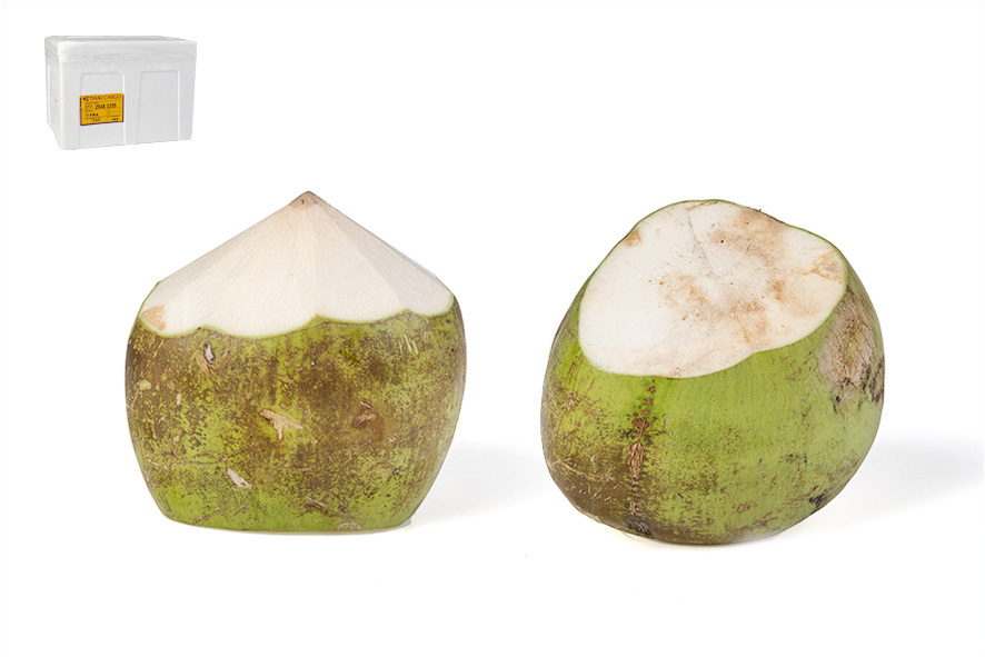 NOCI DI COCCO GIOVANI(TH)