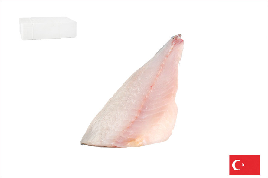 ORATA FIL. C/P SQUAM.140-180 GR