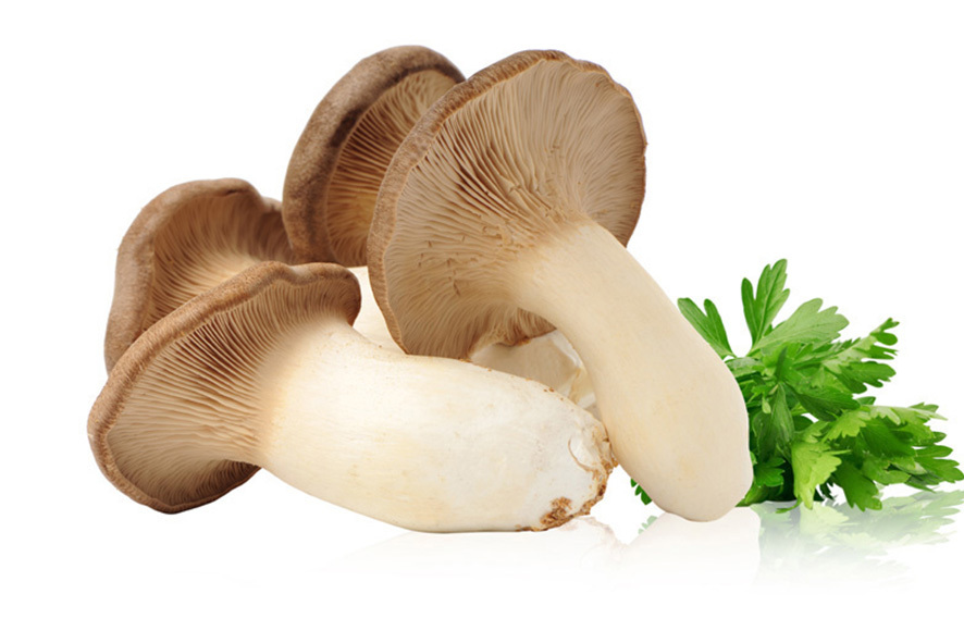 KRAEUTERSEITLINGE GROSS BIO SUEDTIROL