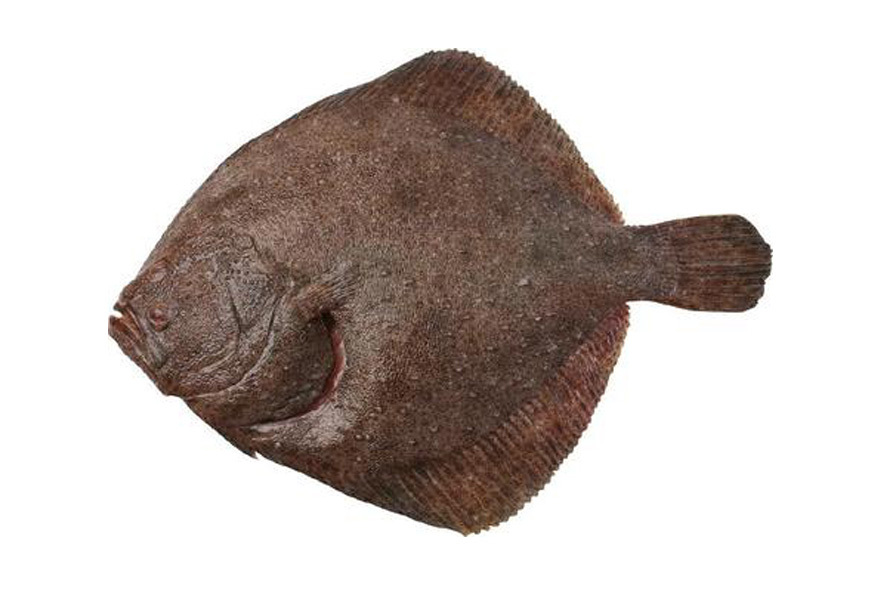 ROMBO A 4-5 KG(P)