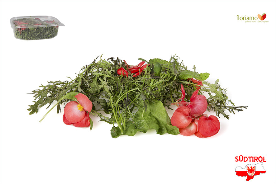 FIORSALATA (MISTICANZA) AA