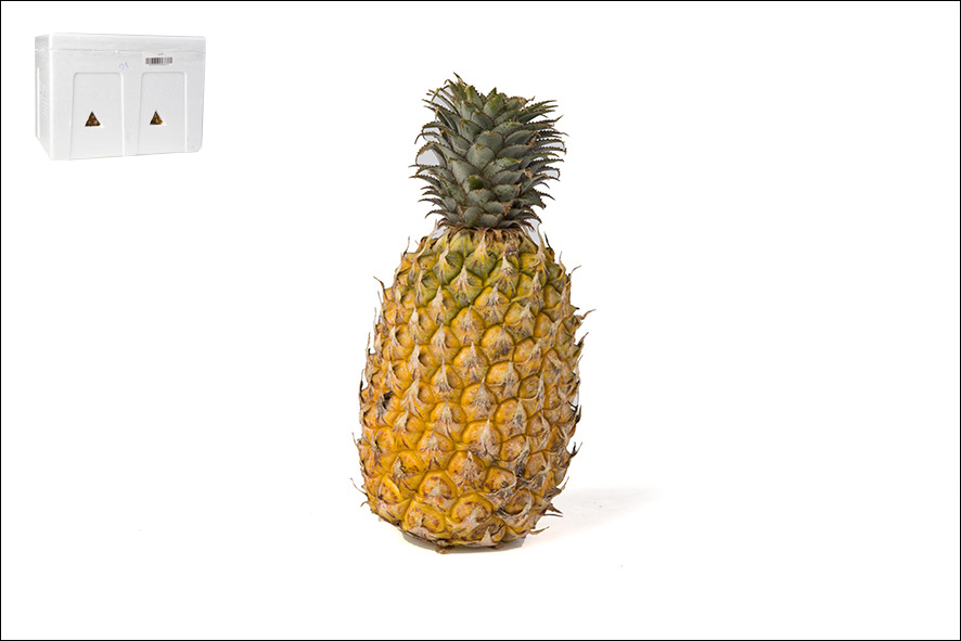 ANANAS TRAD SRITHONG VIA AEREA