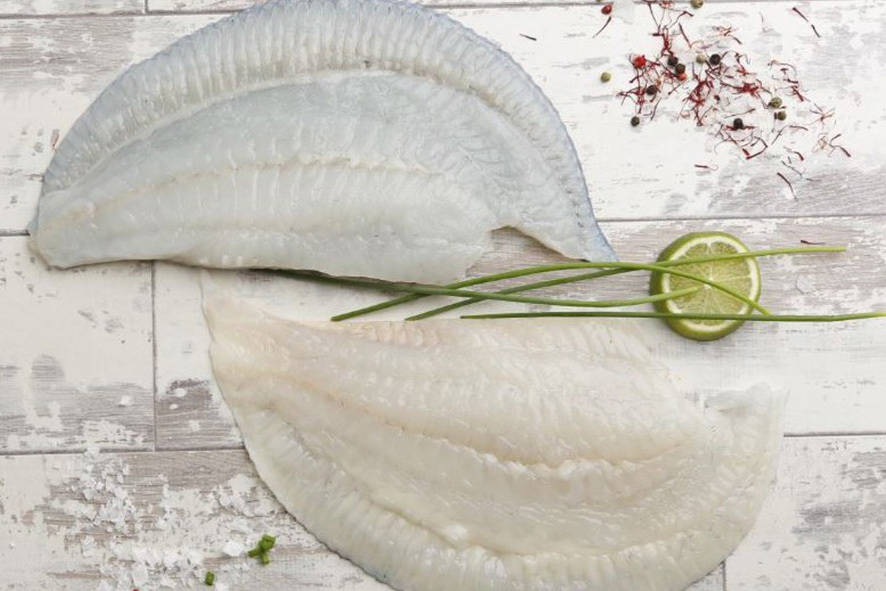 ROMBO FILETTO A C/P 150-300 GR SG