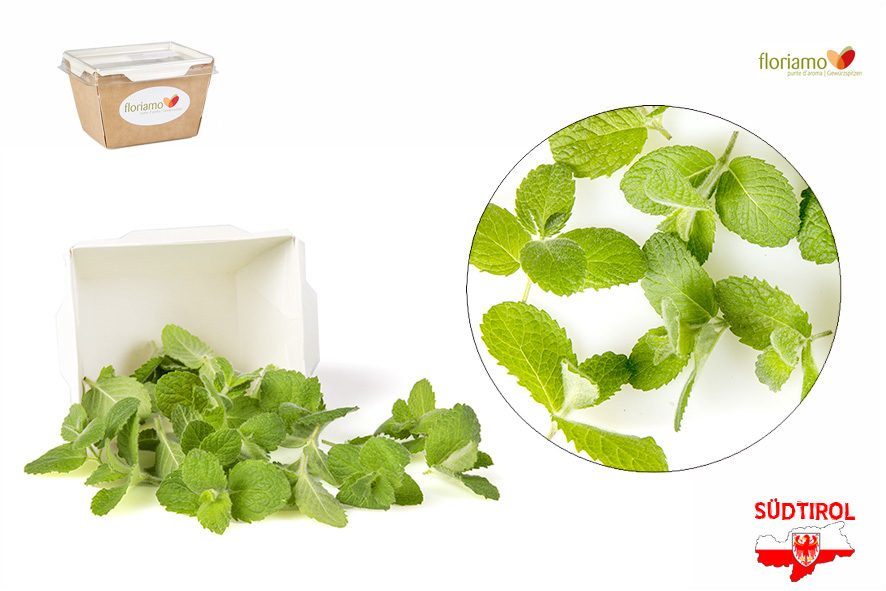 MENTA ALLA MELA PUNTE AA