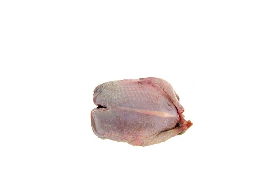COLOMBACCIO SPIUMATO  SG