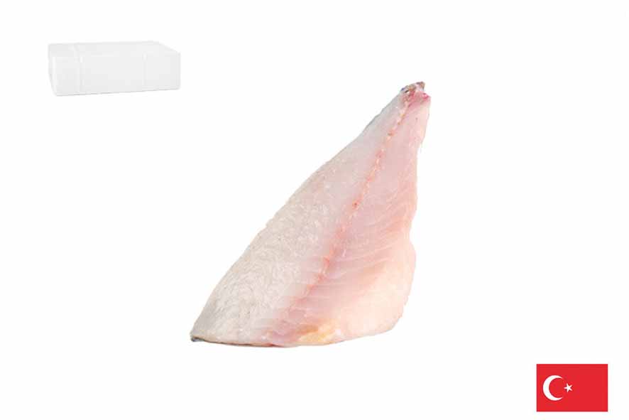 ORATA FIL. C/P SQUAM. 100-140 GR