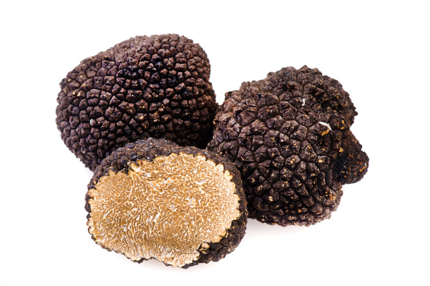TARTUFO NERO ESTIVO 10 GR +
