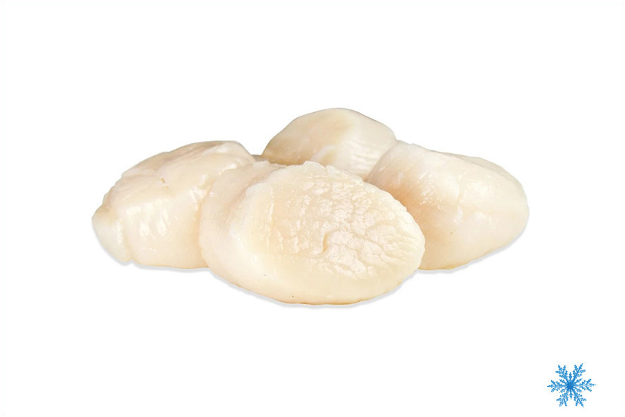 JAKOBSMUSCHELN O/S-R PAZIFIK U10 ST/LBS TK