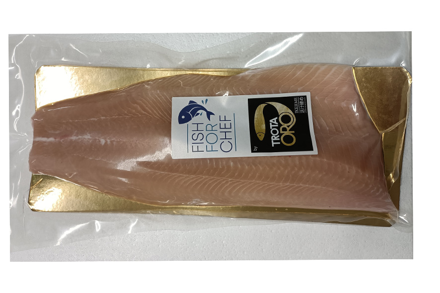 SALMERINO AL. FIL. 0,5-1KG IKEJIME