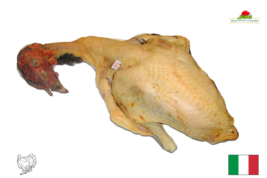 TRUTHAHN FREILAND GRAU