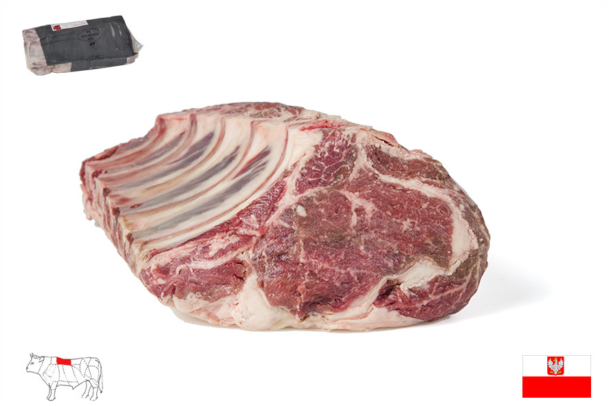 MANZO COSTATA 5 COSTE  (PL)
