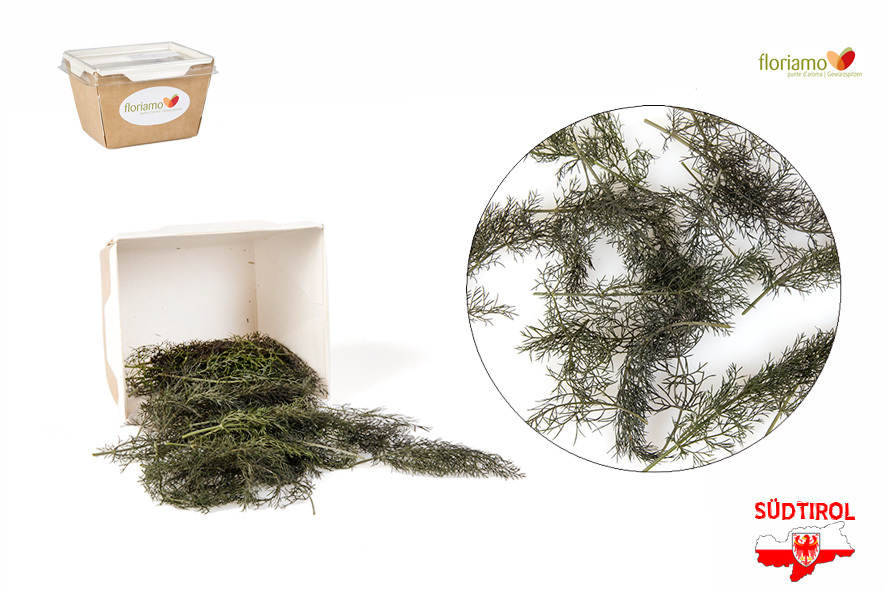 FINOCCHIO SELVATICO PUNTE AA