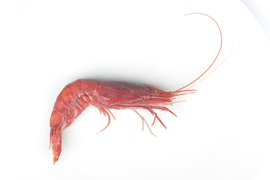 GARNELEN ROT II 30-35 ST/KG APULIEN